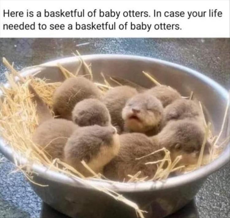 For A Laugh