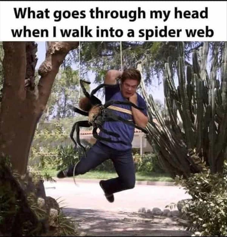 For A Laugh