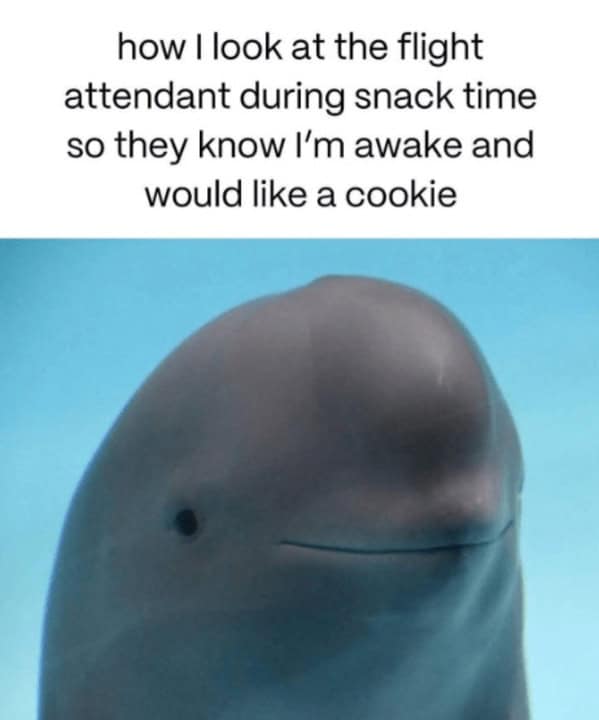 For A Laugh