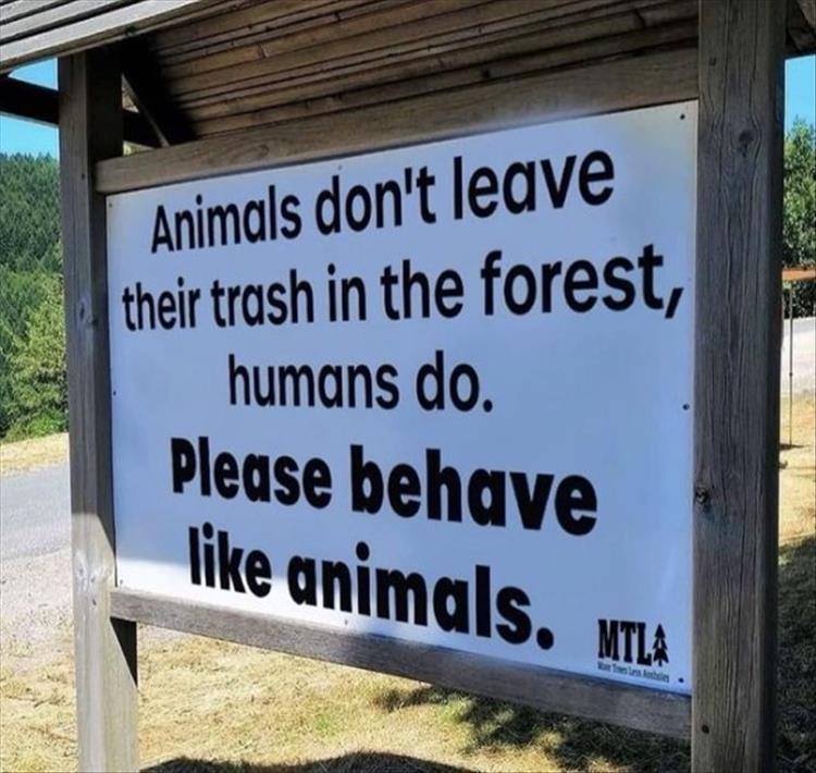 For A Laugh