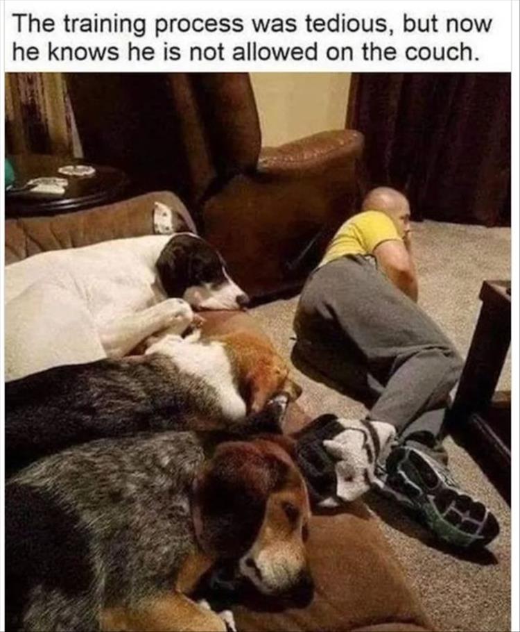 for a laugh