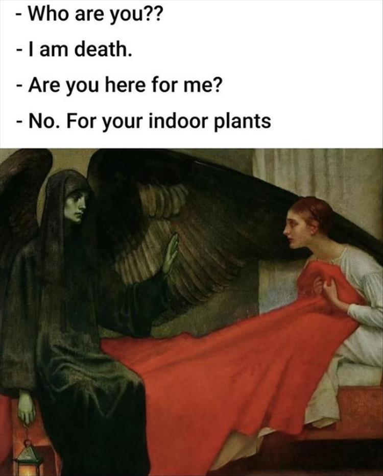 For A Laugh