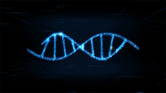 Discover Your Quantum Biology