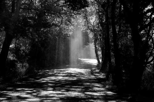 Haunted road