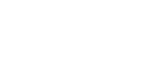 STM lOGO