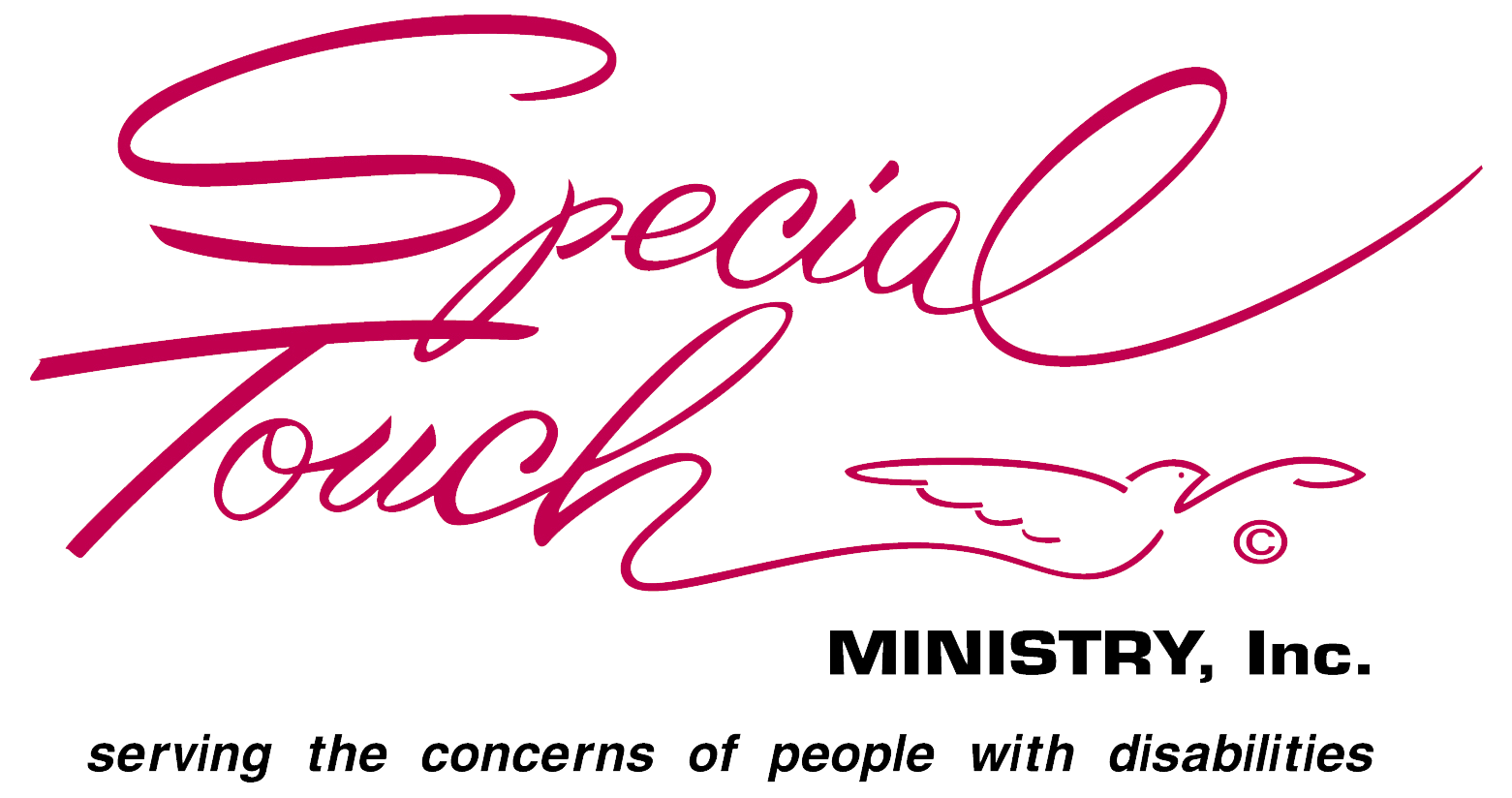 Special Touch Ministry Inc Logo