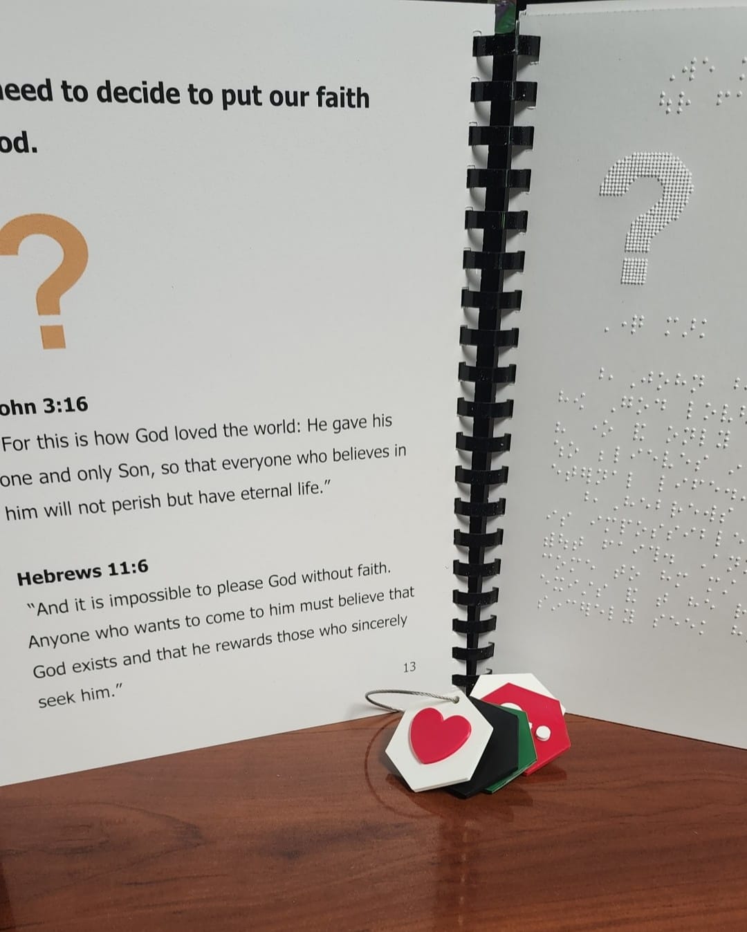 Alive in Five Large Print and Braille Book