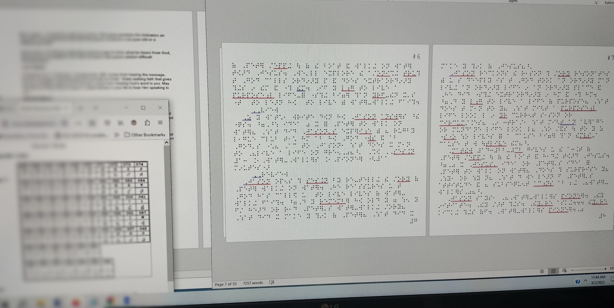 computer monitor showing software being actively used for braille transcription