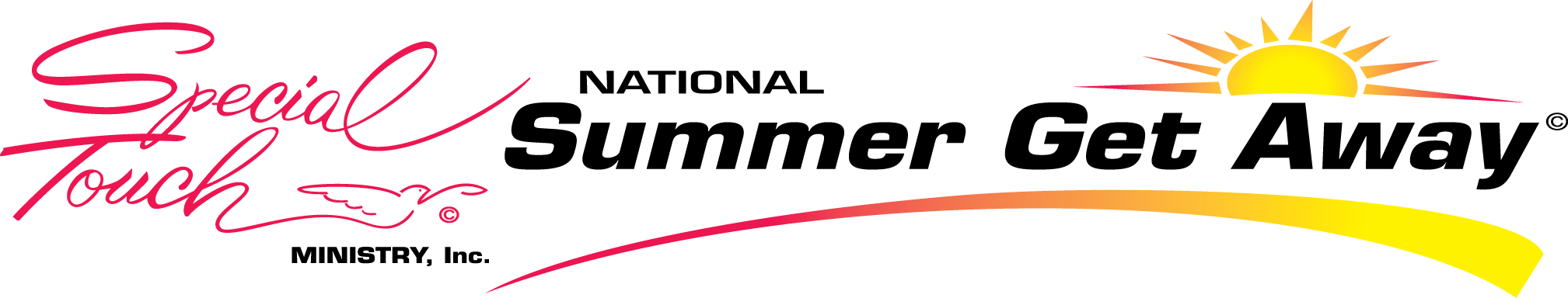 STM Logo