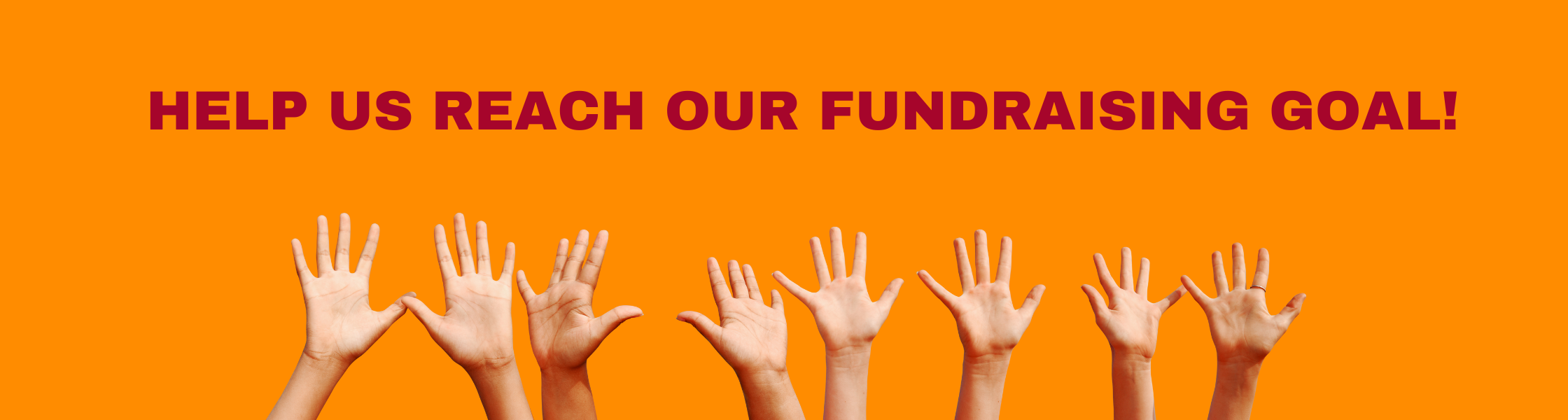 Help us reach our fundraising goal hands raised and link to fundraising web page
