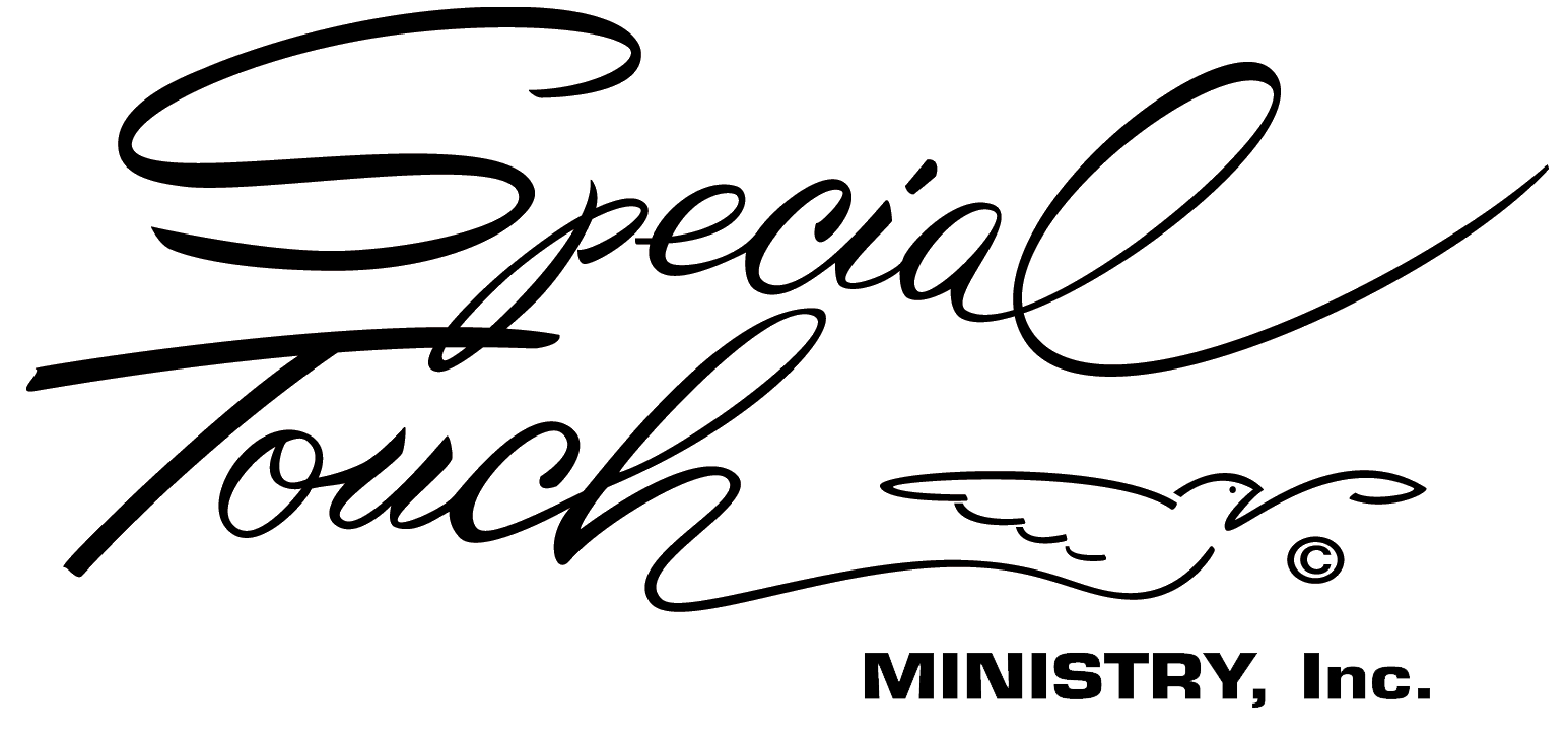 STM Logo