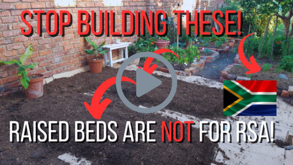 Raised Beds are NOT for arid South African Gardens!