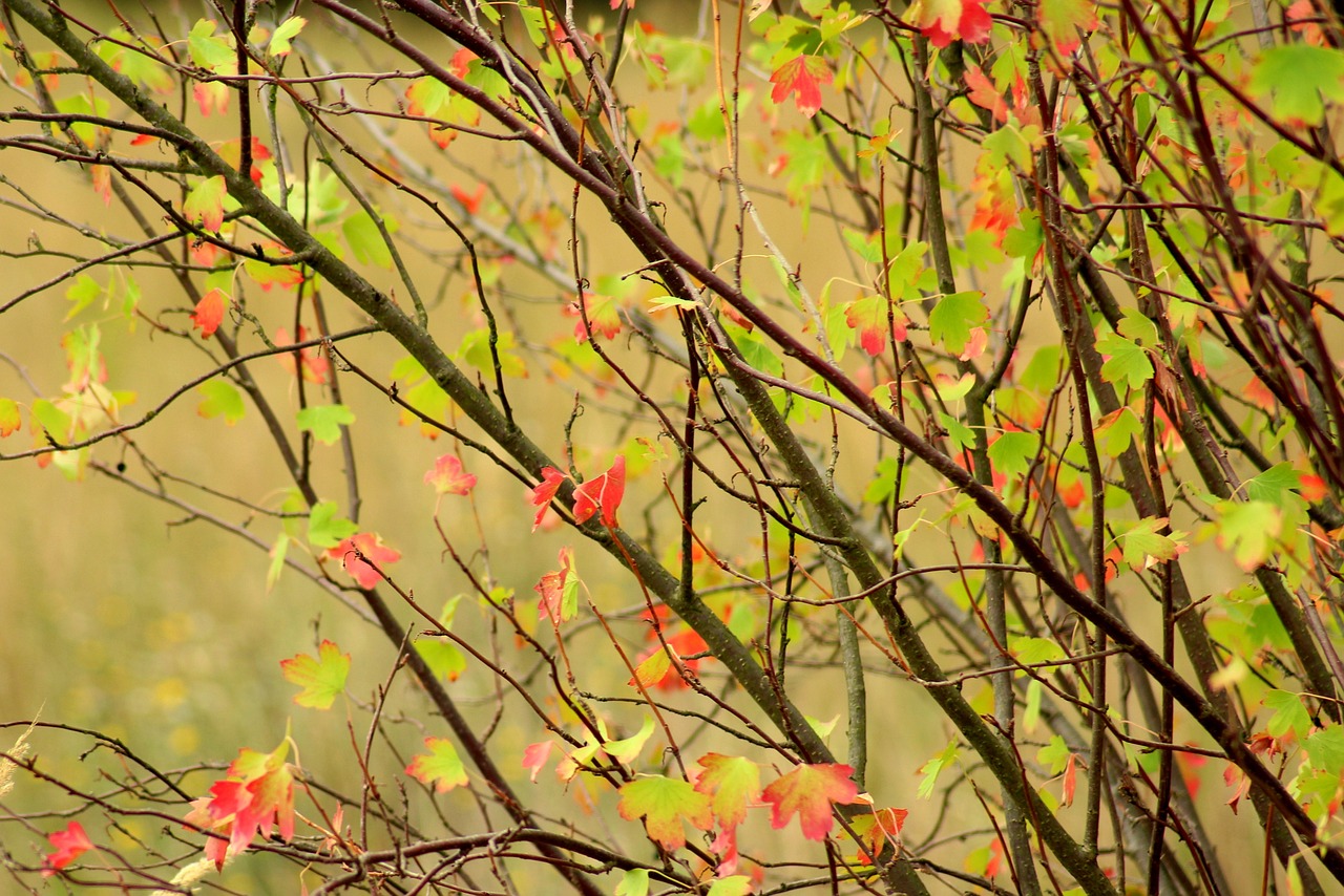 12 Inspiring August newsletter ideas to captivate your audience