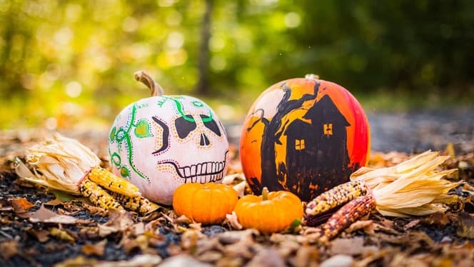 Wickedly-effective templates for Halloween.
