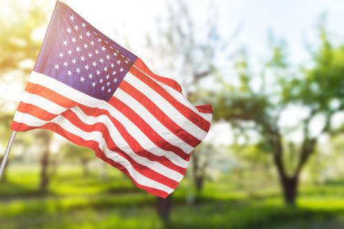 6 inspiring Memorial Day email examples