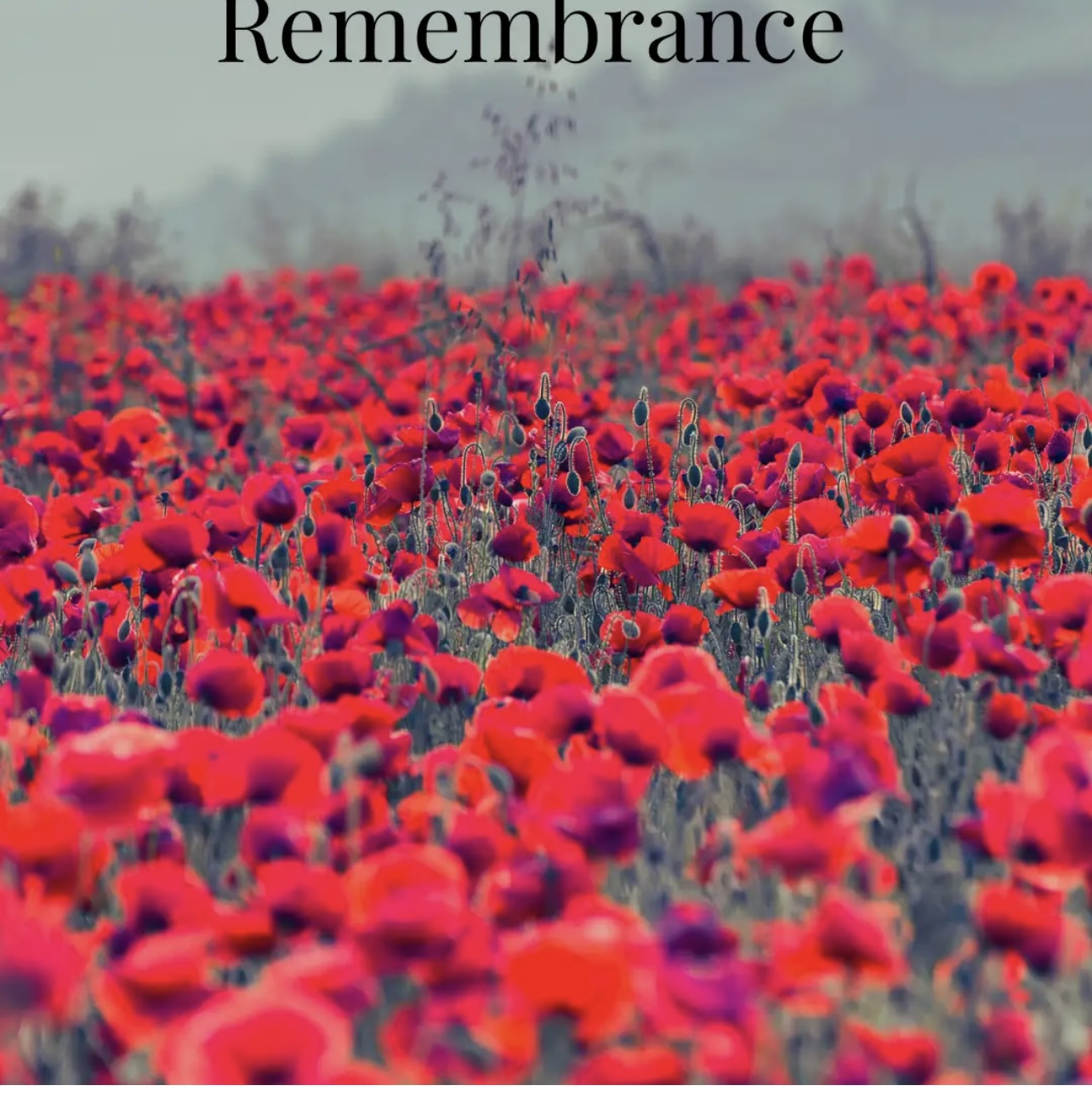Lest We Forget 