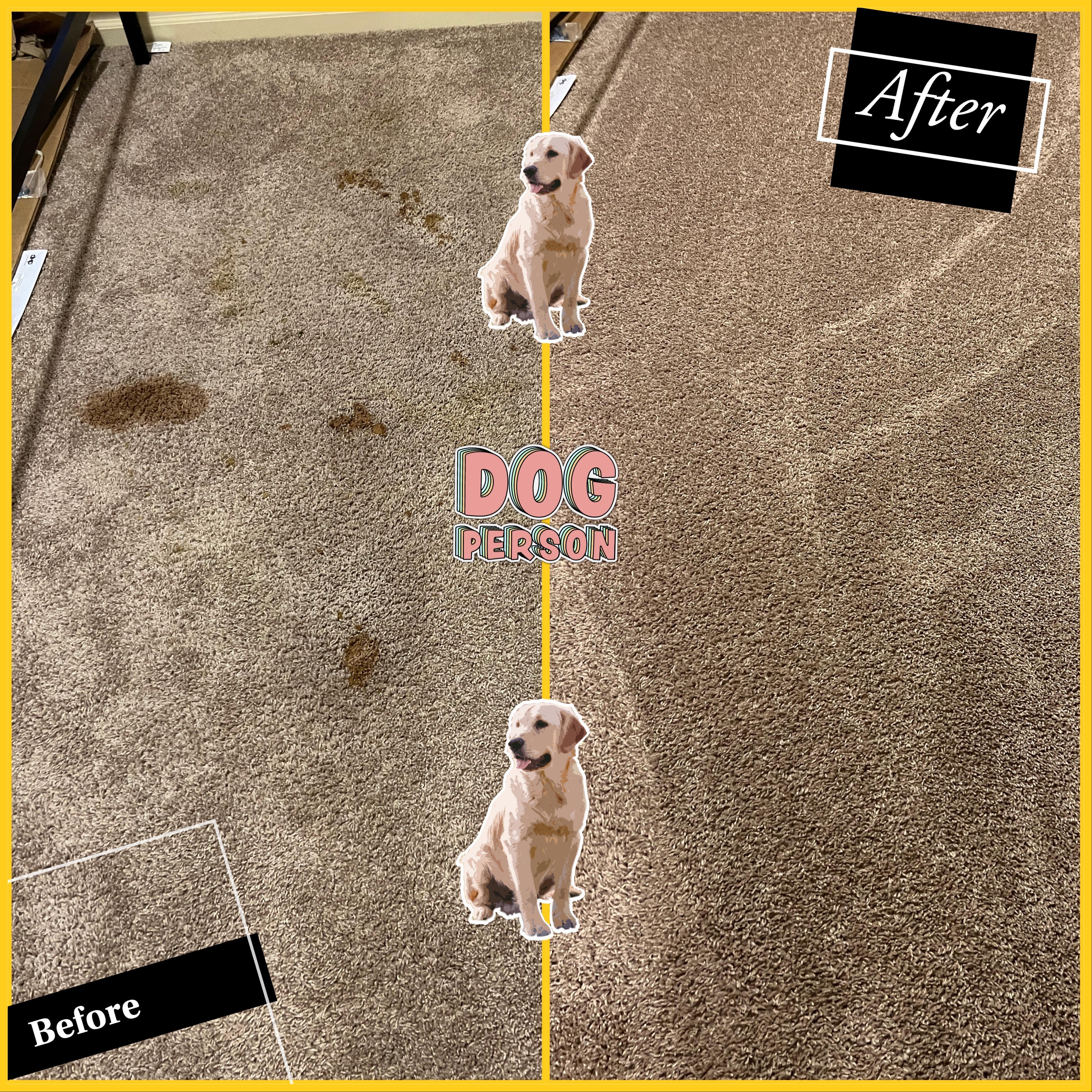Before and after carpet cleaning image