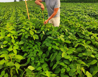 Humibakt gallery image: soil condition and plant development