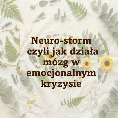 Neuro-storm, czyli jak działa mózg w emocjonalnym kryzysie
