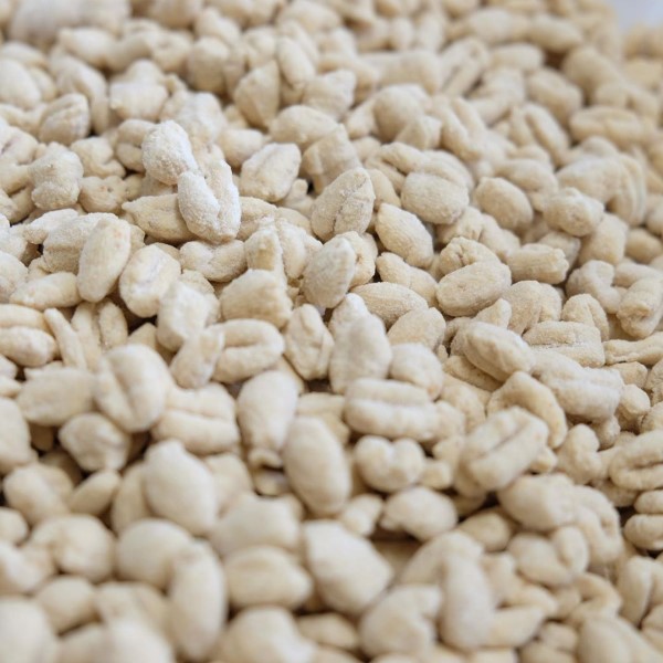 Anolini di stracotto