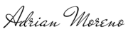 Visit page main