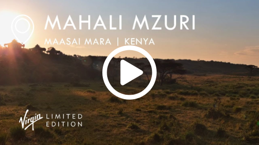 Mahali Mzuri Live Safari Cam | Maasai Mara, Kenya