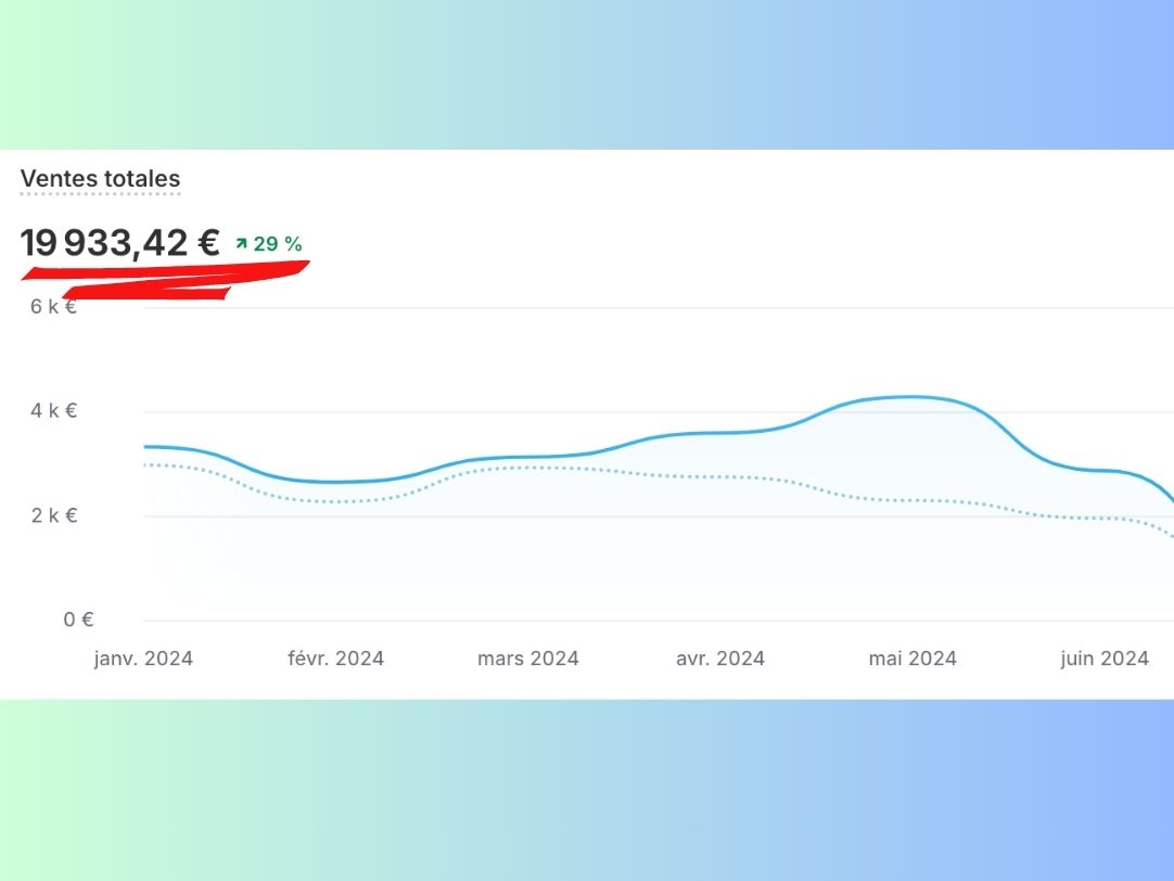 Chiffre d'Affaires SEO