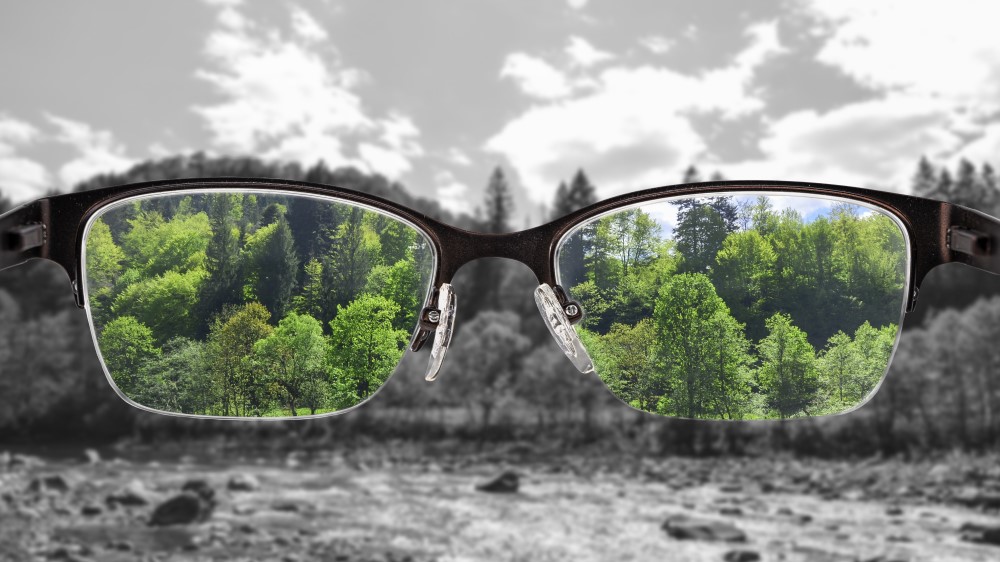 Classes that see color in a black and white photo.