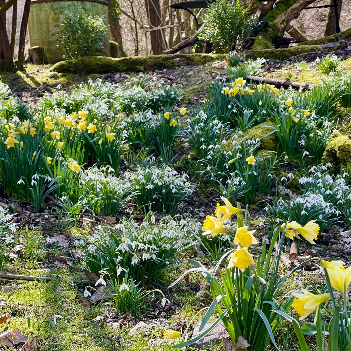 Frühling