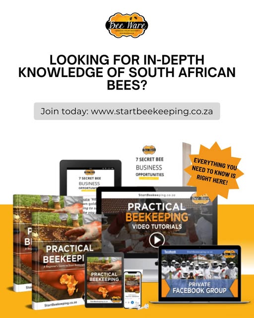 Online Beekeeping Academy For Southern African Beekeepers