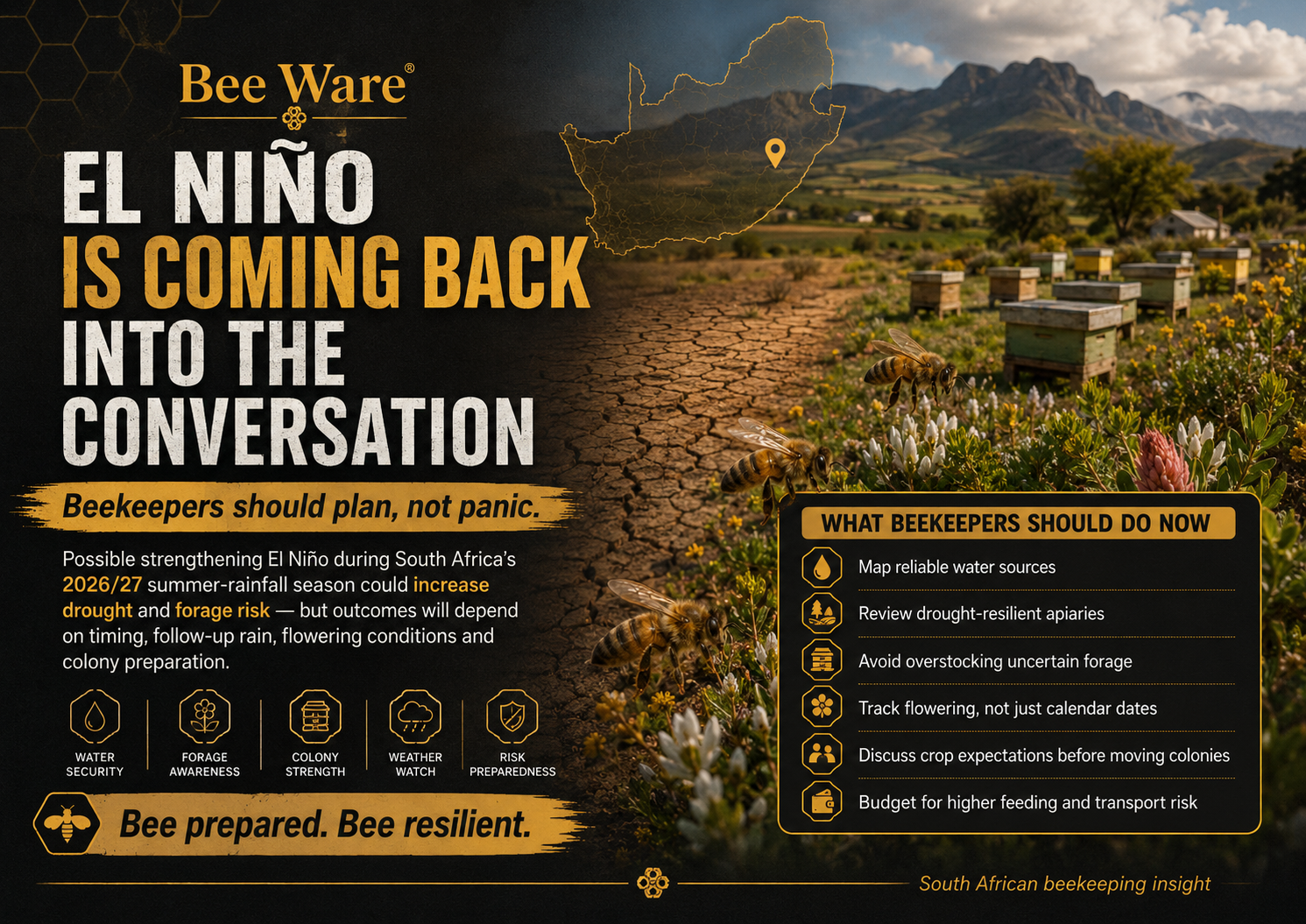 El Nino is coming back - Bee Prepared. 