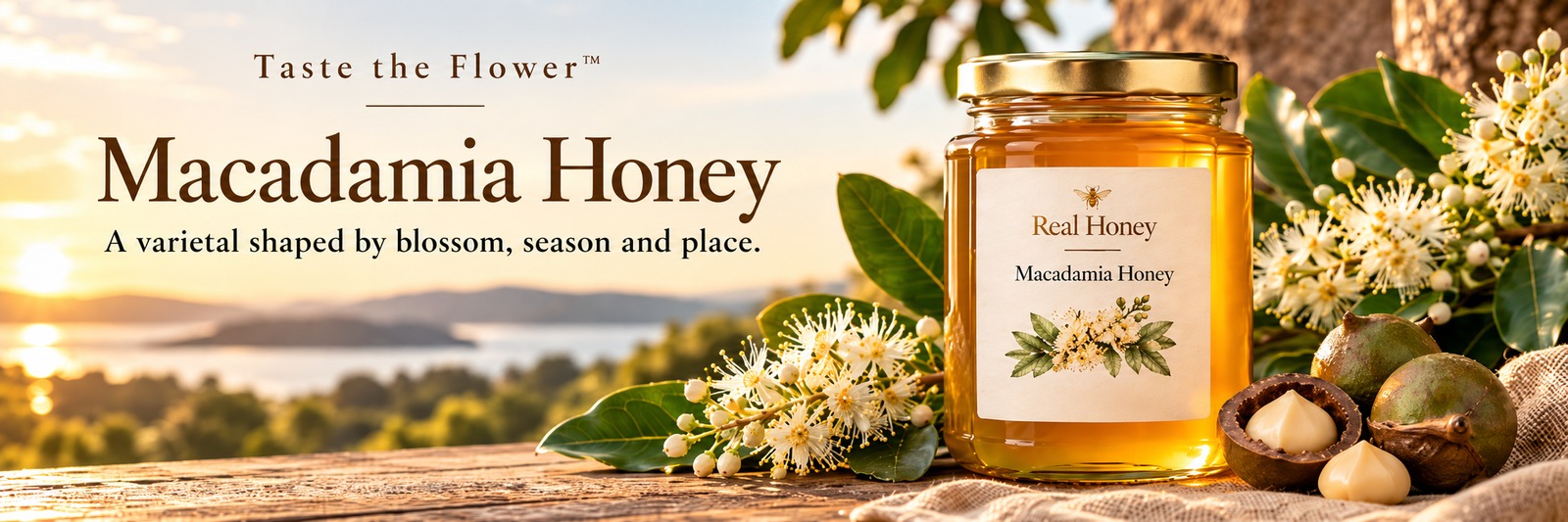 Macadamia Honey from the Orchard! 