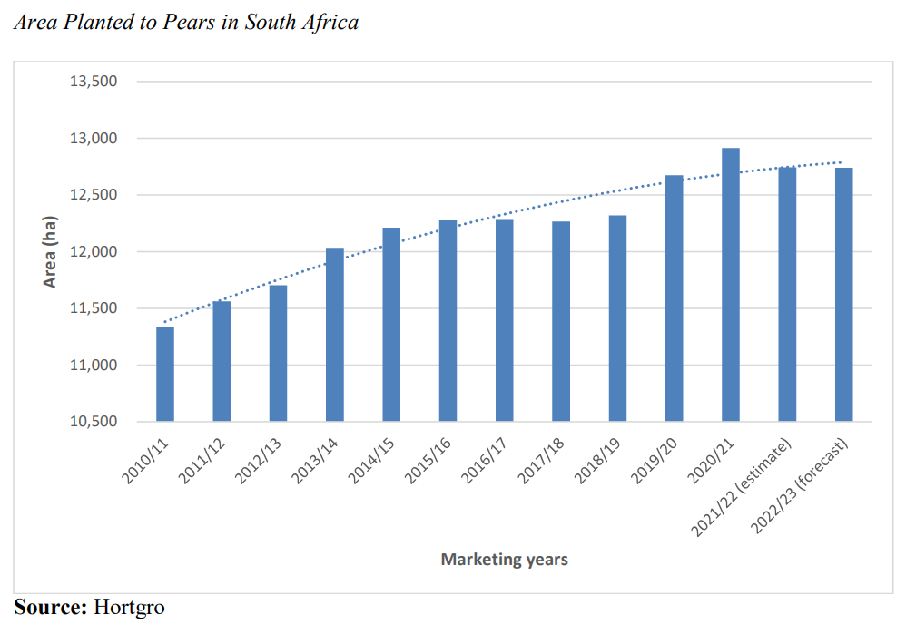 Area planted to pears in South Africa - Hortgro