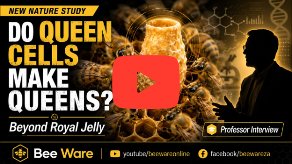 Not Just Royal Jelly: How Bees Really Make Queens | Dr Yahya Al Naggar | Published in Nature