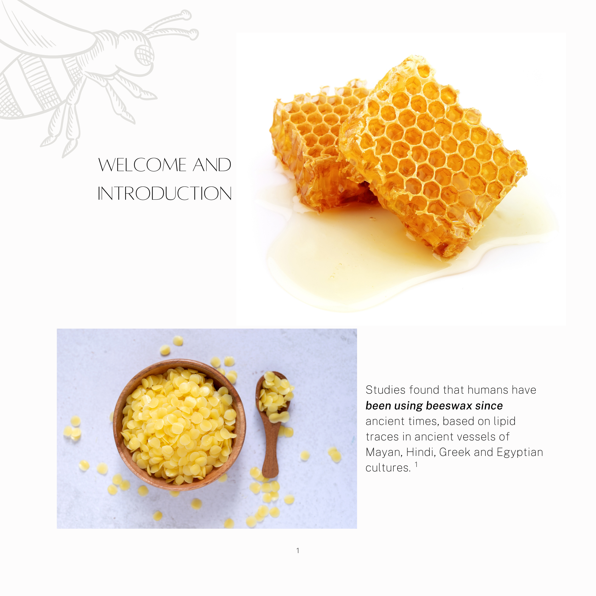 Skin Alchemist Recipes Book for Natural Skin Care Remedies 