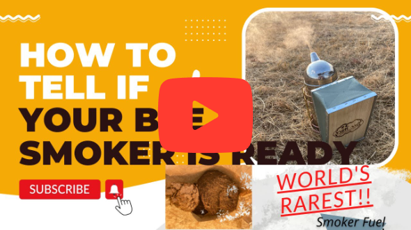 How To Tell If Your Bee Smoker is Ready for Bee Work