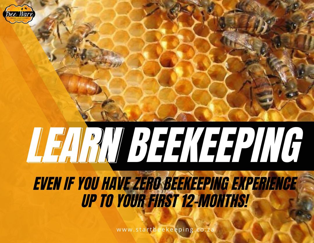 Start Beekeeping Academy
