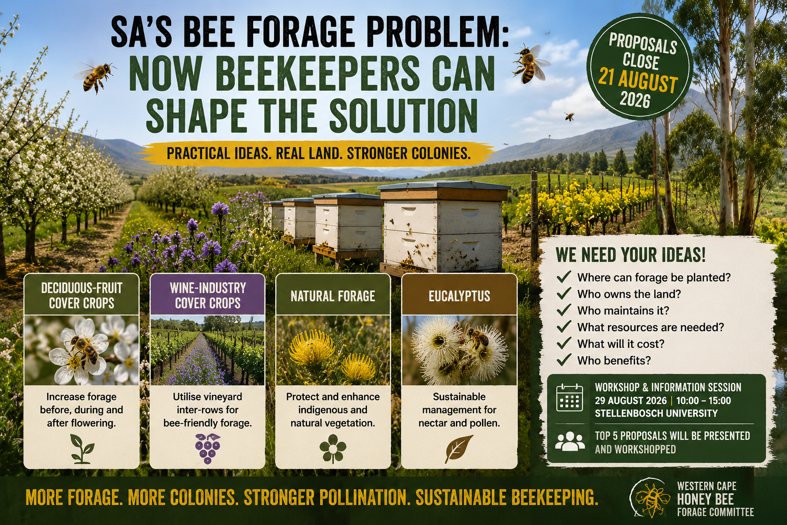 South Africa's Bees Need More Food! 
