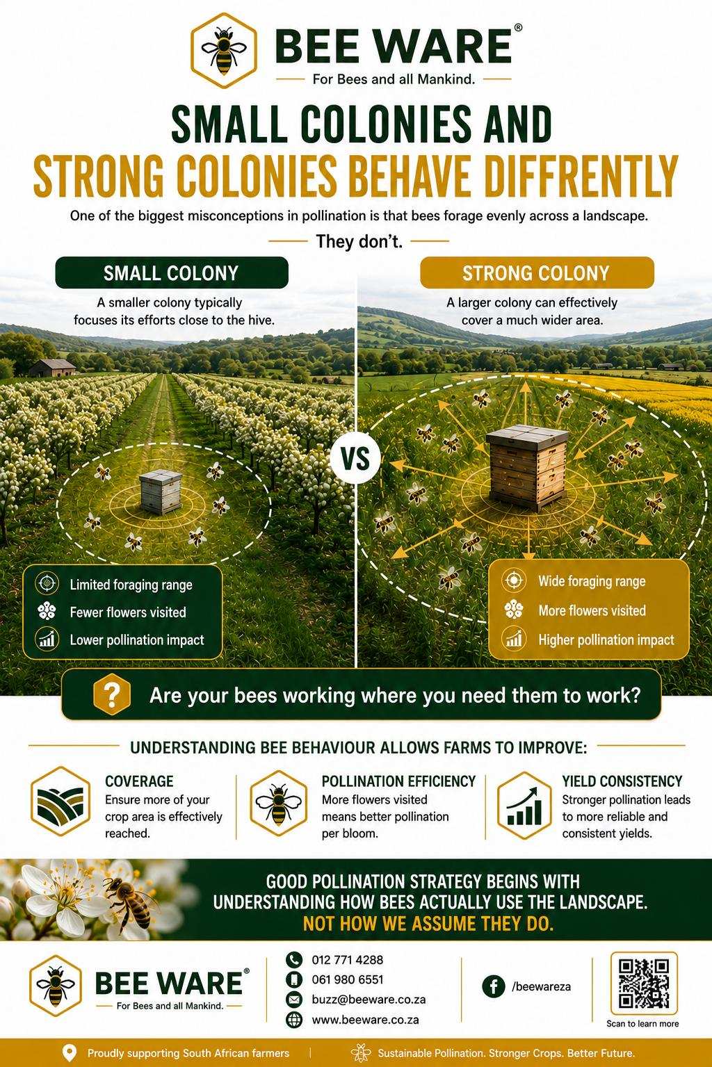 Don't squash queen bees