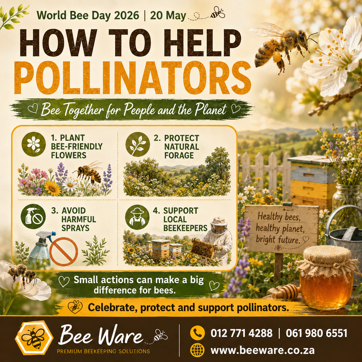 How to Help Pollinators