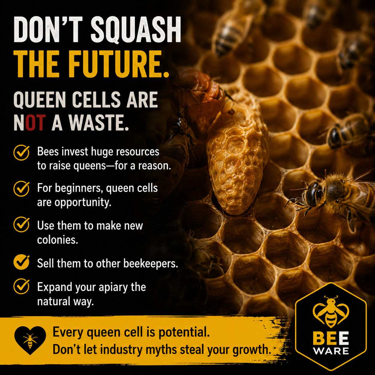 Don't squash queen bees