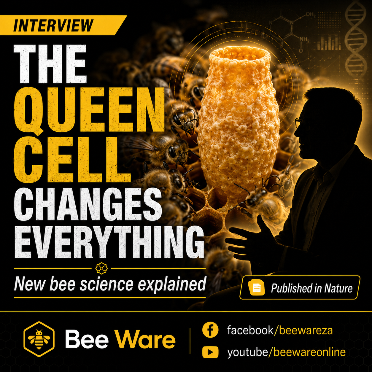Don't squash queen bees