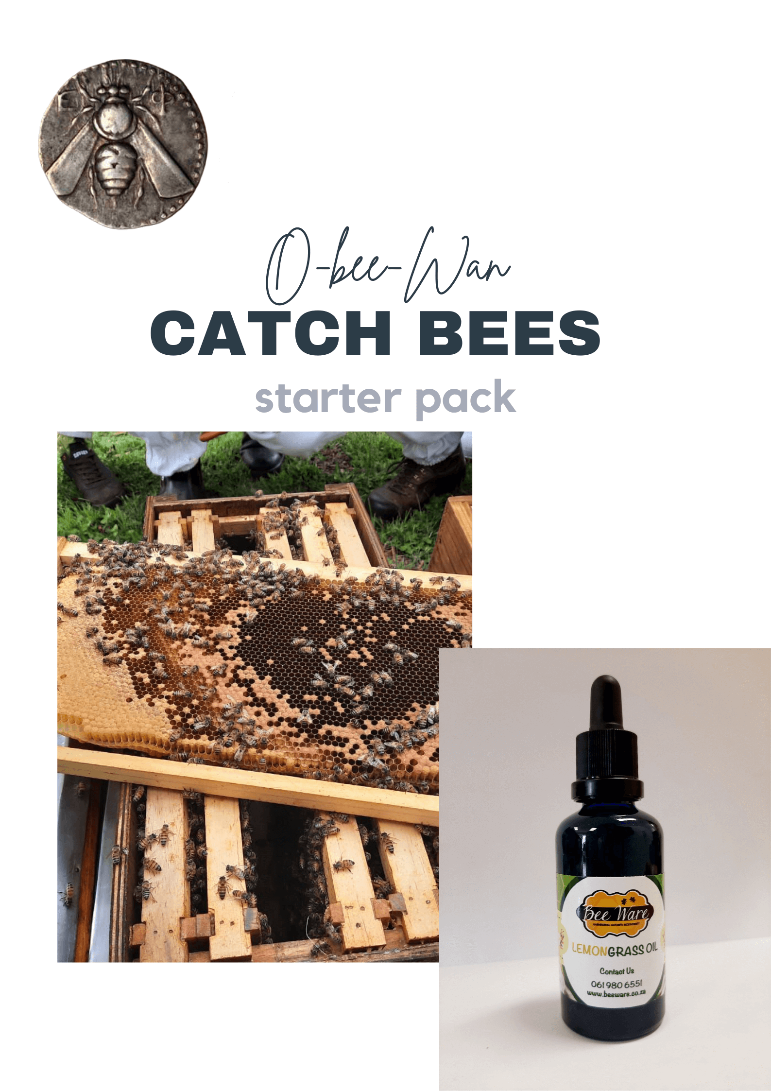 Swarm Season is Happening!