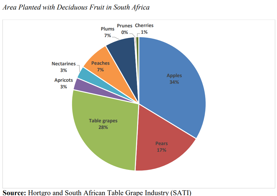 Area planted with deciduous Fruit in SA - Hortgro