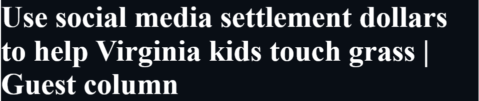 Use social media settlement dollars to help Virginia kids touch grass | Guest column