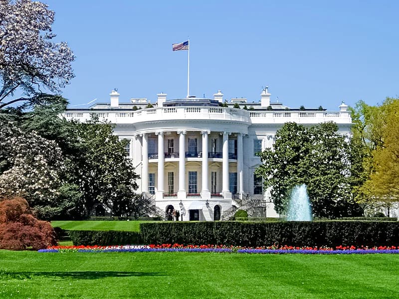 Donald Trump is planning a UFC fight at the White House