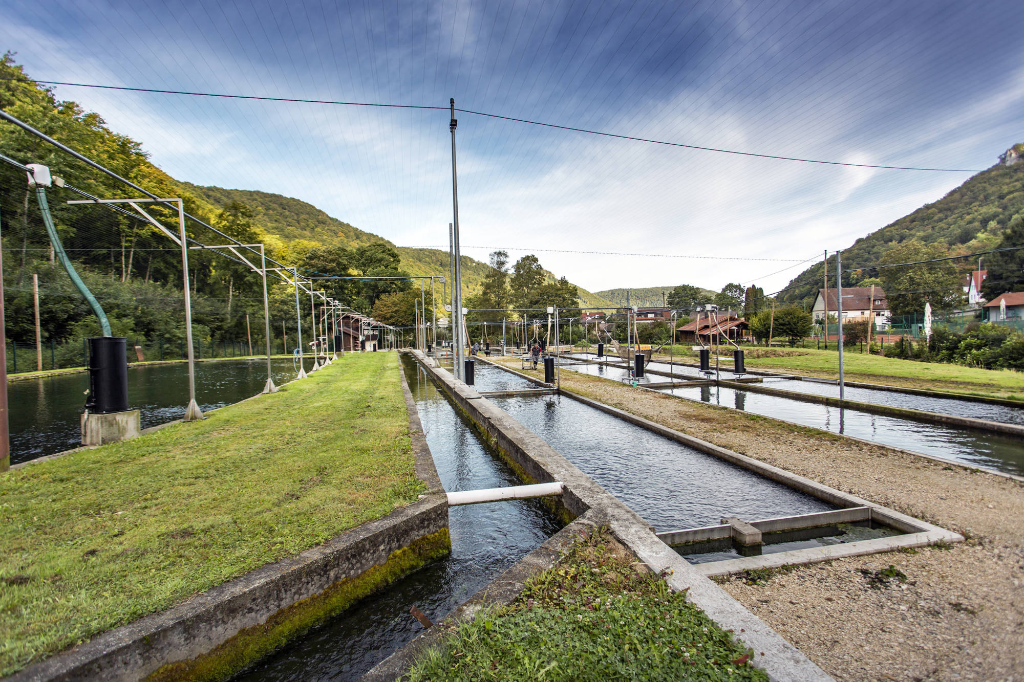 Honauer Echaztal-trout Forellehof-Rössle