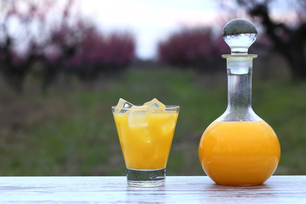 Bottle and glass with orange juice, ice cubes in glass at flower peach tree garden.