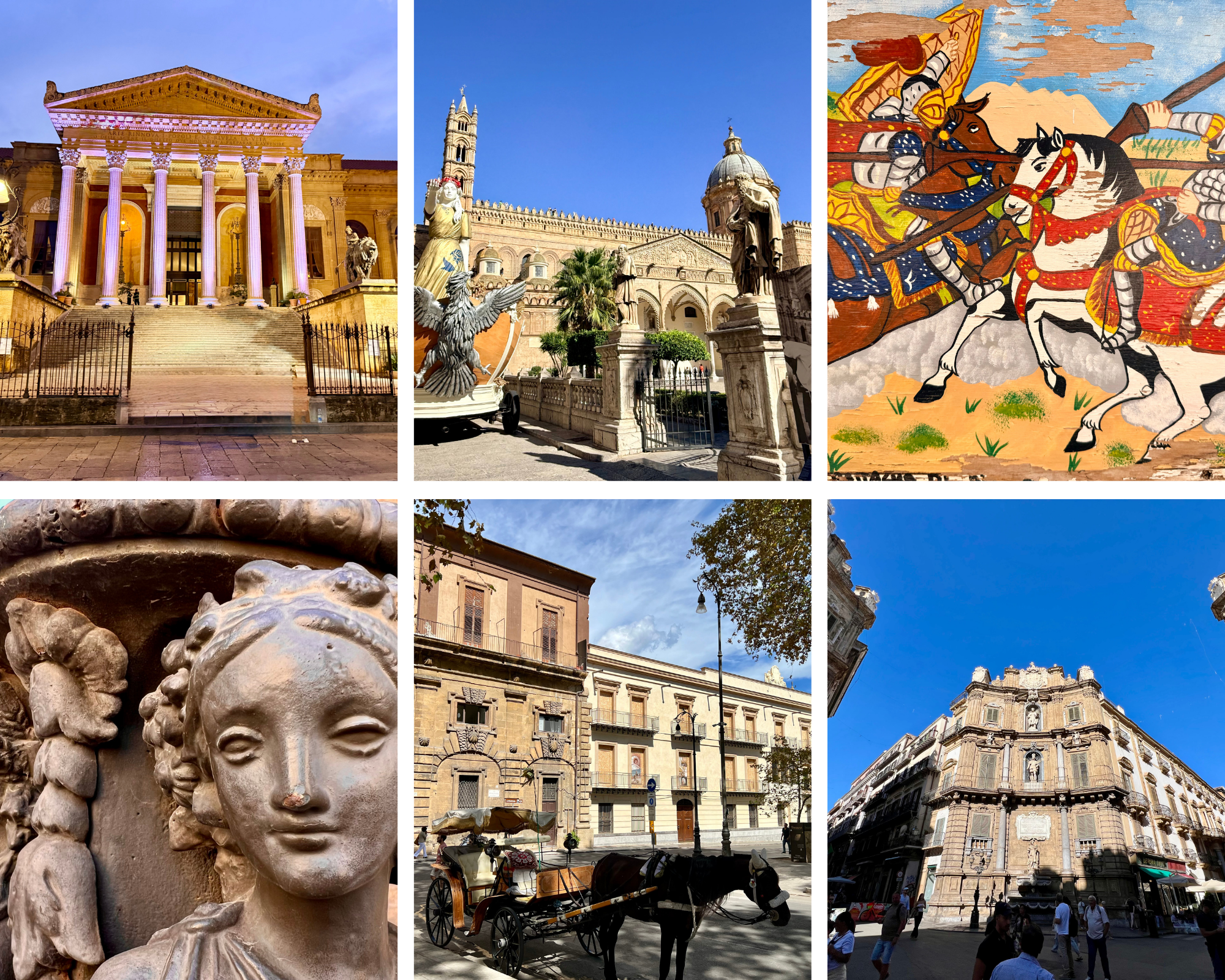 Llama in front of ancient inca town of Machu Picchu