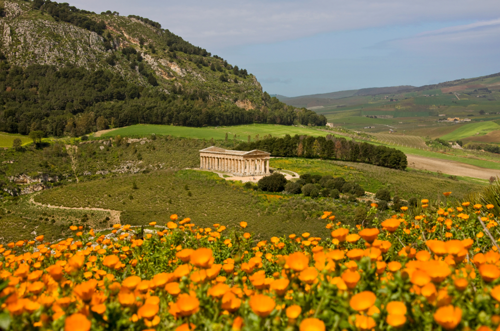 poppy field with greek temple on hill with mountains 